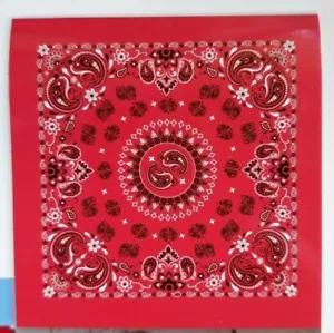 HORIZON ~ 100% Cotton RED SCARF BANDANNA PAISLEY DESIGN HEADBAND HEAD WRAP NECK - Picture 1 of 3