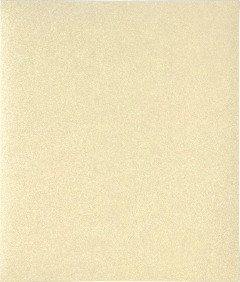 Álbum de recortes 8,5 x 11 encuadernado expandible 20 páginas vinilo crema recuerdos Foto 1 de 1