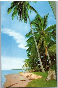 A Quiet and Beautiful Spot on the Beach Surrounded by Coco Palms Tahiti Postcard - Picture 1 of 2