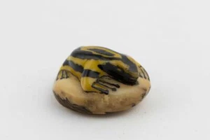 Wounaan Frosch mit Schwanz Tagua Nuss handgeschnitzt - Bild 1 von 4