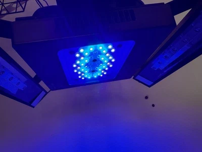 Radion XR15 Blue Gen5 Reef Marine LED Light spectre complet, croissance avancée des coraux - Photo 1/3