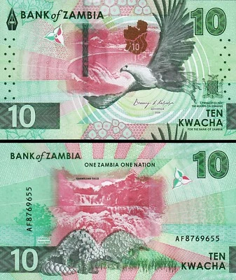 Zambia 10 Kwacha 2024 2025, UNC, P-62, New Design, Pangolins EAGLE - Image 1 of 3