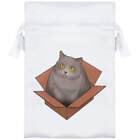 'Cat In A Box' Satin Drawstring Bag/Pouch (SB039749)