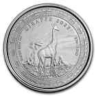 2022 Äquatorialguinea 1 Unze 999 Silbergiraffe 1000 Franken - SR369