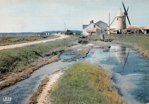 85-VENDEE-N�T2770-B/0233 - Imagen 1 de 2