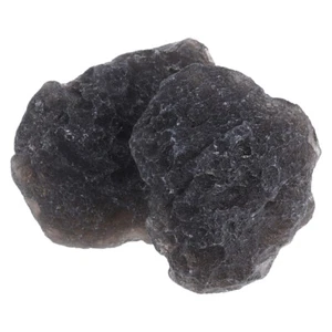 2 Pcs Classroom Teaching Meteorite Paleontology Adornment Student - Picture 1 of 12