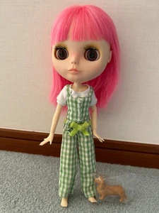 Muñeca Blythe personalizada simplemente guayaba - cuerpo móvil, traje y perro incluidos - Imagen 1 de 10