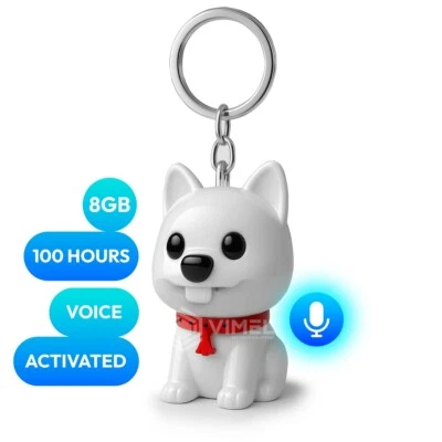 Voice-Activated Recorder Keychain 100h Battery Anti-Bullying Spy Hidden Detector - Image 1 of 4