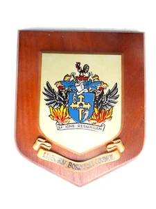 LISBURN  BOROUGH COUNCIL   WALL PLAQUE/CREST/SHIELD - Picture 1 of 1