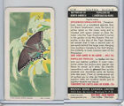 FC34-9 Brook Bond, Butterflies North America, 1965, #38 Spicebush Swallowtail