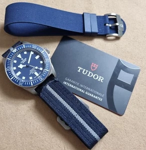 Tudor Pelagos FXD Marine Nationale MN22 25707B/22 Titanium Blu Two Strap New 22 - Imagen 1 de 11