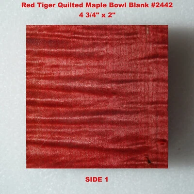 Hermoso Tazón de Arce Acolchado Tigre Rojo Estabilizado en Blanco #2442, 4 3/4" x 2" Foto 1 de 4