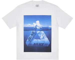 CAMISETA PALACE BERG-FERG (BLANCA) (GRANDE) FW21 TRI-FERG COLOR BLUR STELLA ARTOIS - Imagen 1 de 3