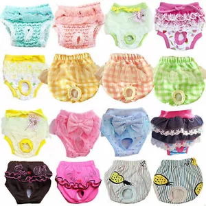 Windel Für Hunde Physiologische Hosen Für Hündinnen Hygienehosen Unter Uns❀ > - Picture 1 of 27