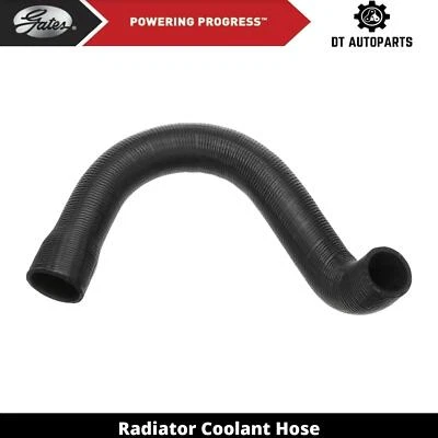 Manguera de refrigerante de radiador de gas L6 3,3 L VAM Classic 1966 puertas inferiores Foto 1 de 4