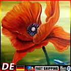 Red Flower Oil Paint By Numbers DIY Handpainted on Canvas Wall Art (B1018) Hot