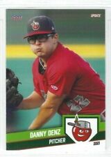 2021 Fort Wayne TinCaps (Class A-San Diego Padres) Danny Denz
