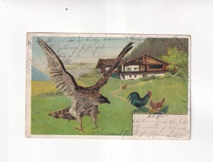 6060) AVES RAPACES - Pájaro ataca pollos en granja 1904 - Imagen 1 de 2