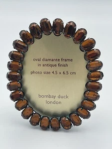 Bombay Duck Oval Diamanté Frame - Picture 1 of 4