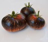 Tomato DARK STRIPE Seeds dark tomatoes organic seeds Ukraine 20 seeds D