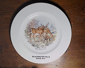 Placa de 10" con ciervo cola blanca Black Water Falls, Davis, West Virginia - Imagen 1 de 3