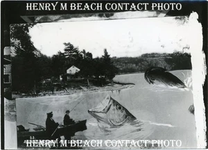 1900s Photo Theresa NY Fantasy Montage Giant Fish Henry Beach 5x7 Contact Print - Bild 1 von 2