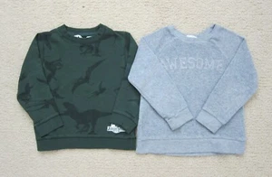 H&M Pullover Sweatshirt Kid Boy 4-6 Year Dinosaurs Jurassic Long Sleeve Tee Used - Picture 1 of 7
