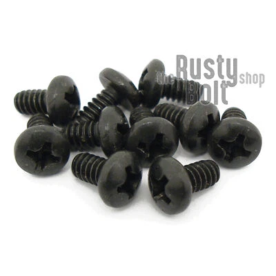 THE RUSTY BOLT SHOP #6-32 x 1/4", Phillips Pan Head Screws, Stainless Steel, Black Oxide