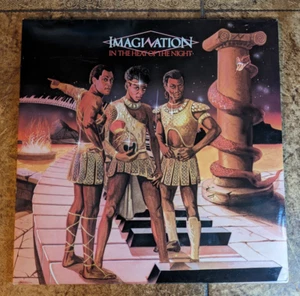 IMAGINATION - Dans la chaleur de la nuit 12" vinyle LP album disque RBLP 1002 - Photo 1/15