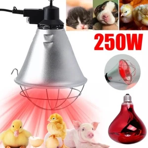 250W Infrared Heat Lamp Poultry Dog Puppies Kittens Piglets Animals With Bulb UK - Picture 1 of 13