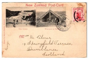 NEW ZEALAND - PINK TERRACE & WHAREPUNI AT PAHIATUA - 1905 - OLD POSTCARD - Picture 1 of 2