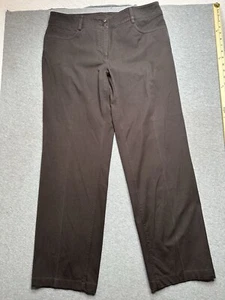 Eileen Fisher Pants Womens Large Brown Pull On Straight Leg Stretch - Picture 1 of 6