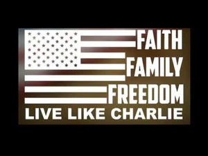 Charlie Kirk Faith Freedom RIP White die cut vinyl decal sticker wall window 10” - Picture 1 of 1