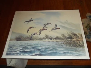 signiert KILLEN Enten fliegen Litho Druck Kunstwerk Vintage Gemälde - Bild 1 von 3