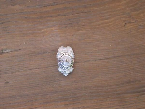 Vintage North Babylon Fire Company N.Y. lapel badge The C.G. Braxmar Co. - Picture 1 of 5