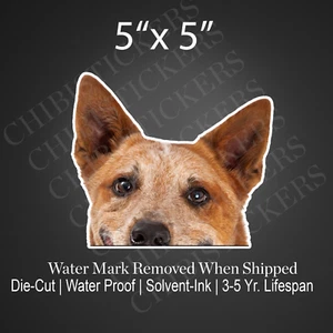 Red Heeler Australian Cattle Realistic Dog Peeker Sticker Vinyl Waterproof - Picture 1 of 2