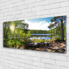 Glasbilder Wandbild Druck auf Glas 125x50 Wald See Natur