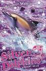 Stormy Skies Book 8 Silver Dolphins, Summer Waters