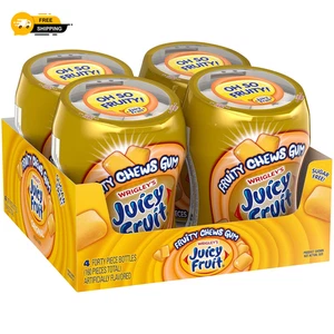 Juicy Fruit Gum Fruity Chews Original Sugarfree Gum, bottiglia da 40 pezzi (4 bottiglie) - Foto 1 di 7