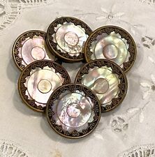 Antique SET/6  Carved MOP Buttons Encased in Decorative Metal Border 1 1/16"