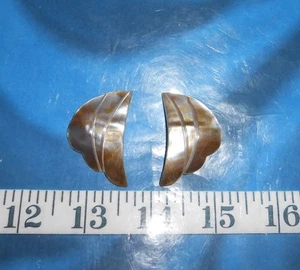 ~ Perlmutt (Black-Lip MOP) Muschelstücke ~ poliert ~ natur taupe/elfenbein~ - Bild 1 von 5