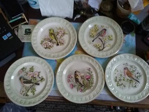 PALISSY ROYAL WORCESTER 5 PLACAS DE AVES BRITÁNICAS IMPRESAS  - Imagen 1 de 5