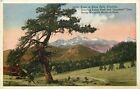 Db Postcard Co K390 Vista Estes Park Longs Peak Japanese Tree Rocky Mountain Np