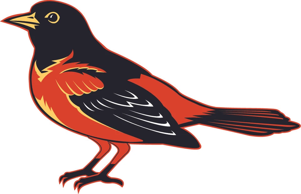 BALTIMORE ORIOLES Vinyl Decal / Sticker ** 5 Sizes **  - Image 1 of 1