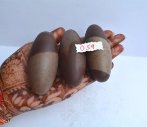 3" Shiva Lingam Stone Narmada River India Gorgeous & Exquisite Lingam~059 - Picture 1 of 10