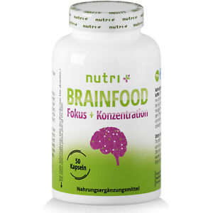 Brain Booster Kapseln - MHD 8.09. Brainfood mit Ginkgo Ginseng Acetyl L-Carnitin