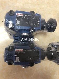 1PCS New Rexroth valve R900593794 DB10-1-5X/350 FedEx or DHL - Afbeelding 1 van 1