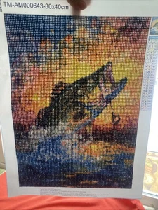 COMPLETED diamond art Bass Fishing Unframed - Picture 1 of 9