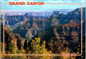 North Rim of Grand Canyon with Fall Colors, Near Point Imperial Arizona Postcard - Picture 1 of 2