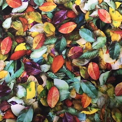 Hoja Multicolor Naturaleza Follaje Hoffman ALGODÓN Edredón Artesanal TELA Estampado Por Yarda  Foto 1 de 2